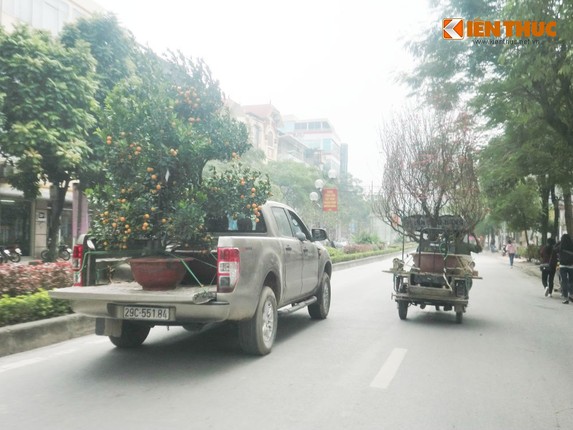 Nguoi Ha Noi hoi ha ruoc xuan ve nha-Hinh-2