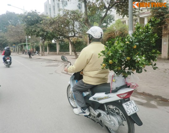 Nguoi Ha Noi hoi ha ruoc xuan ve nha-Hinh-6