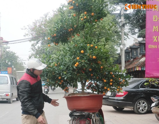 Nguoi Ha Noi hoi ha ruoc xuan ve nha-Hinh-7