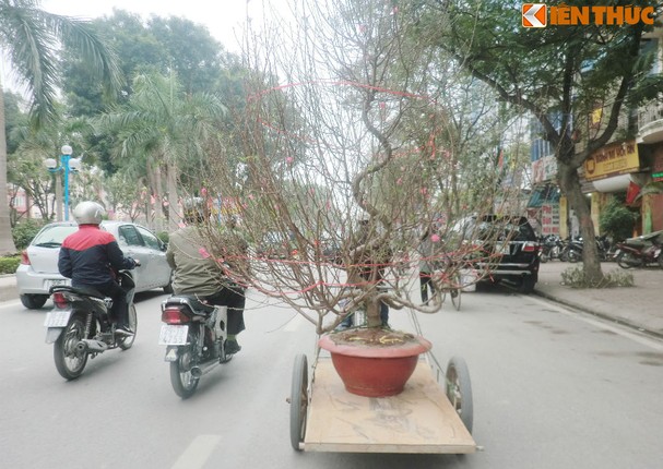 Nguoi Ha Noi hoi ha ruoc xuan ve nha-Hinh-8