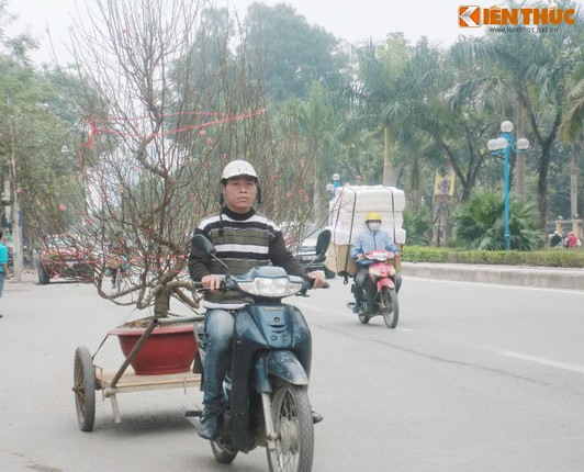 Nguoi Ha Noi hoi ha ruoc xuan ve nha