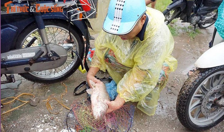 Anh: Mac mua lon, dan Ha Noi hi hung do ra song bat ca-Hinh-4