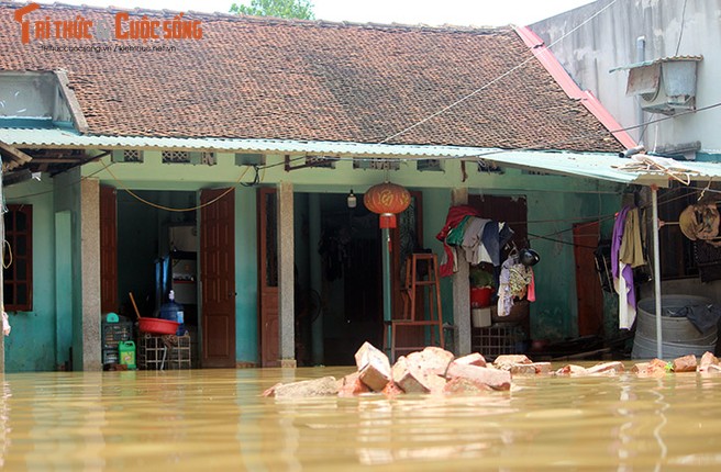 Ha Noi ngap lut: Sang 23/7, nha cua van chim trong bien nuoc-Hinh-8