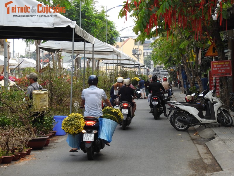 Ruc ro hoa Tet TP HCM: Hy vong nhung ngay can Tet-Hinh-7