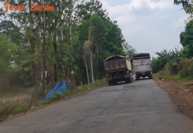 Lan theo duong di cua khoang san tai du an ho suoi Dam tinh Dong Nai-Hinh-16