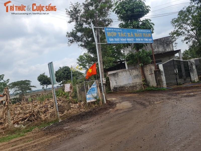 Lan theo duong di cua khoang san tai du an ho suoi Dam tinh Dong Nai-Hinh-2