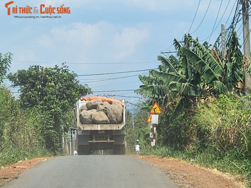 Lan theo duong di cua khoang san tai du an ho suoi Dam tinh Dong Nai-Hinh-8