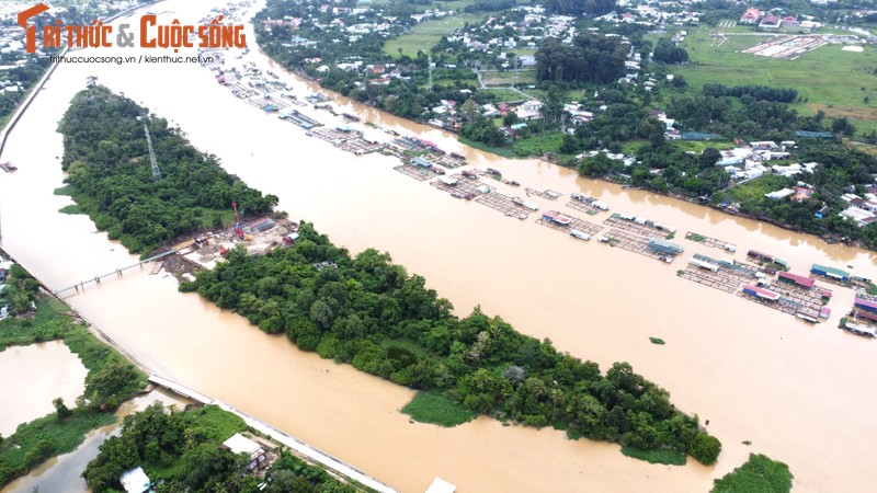 Dong Nai: Can canh thi cong cau Thong Nhat