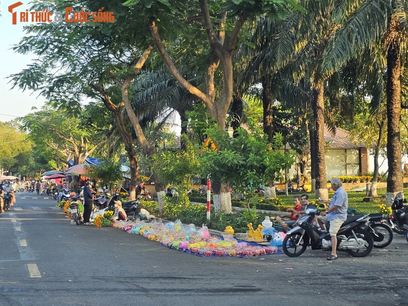 Dong Nai: Hang rong “bua vay” duong Nguyen Van Tri-Hinh-9