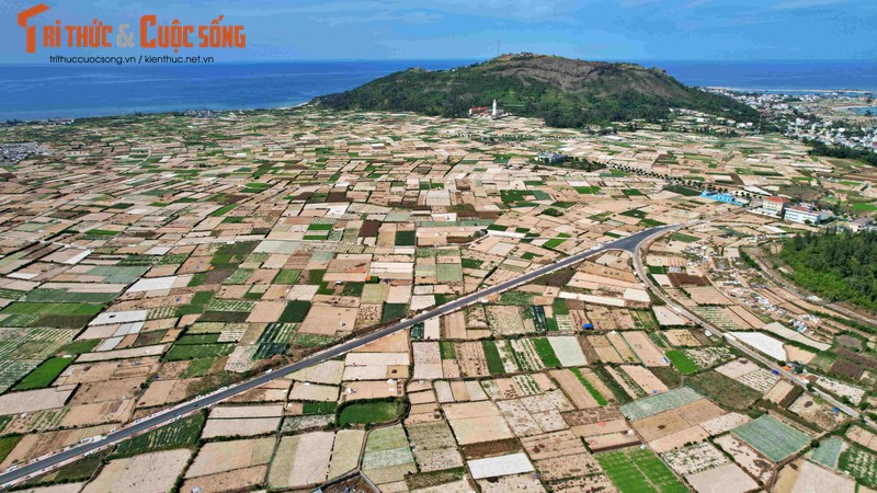 Du an Khu dan cu Dong Rung se den bu theo khung gia Nha nuoc