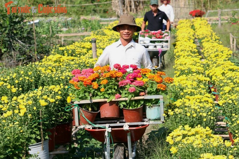 Sac Xuan ruc ro bao trum nhung lang hoa-Hinh-7