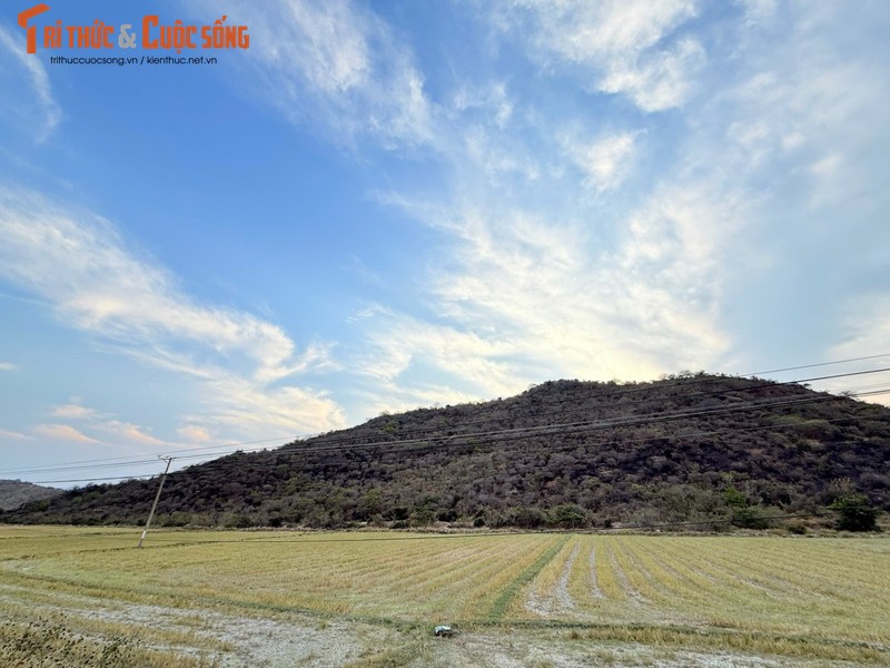 Binh Thuan: Khong co thiet hai lon tai dam chay tren Doi Bang Lang-Hinh-3