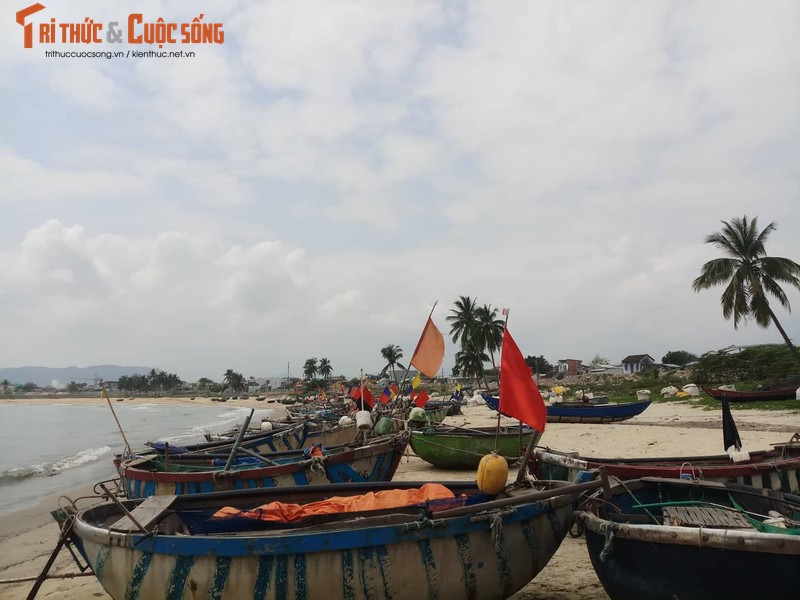 Da Nang trung cau y dan de dieu chinh du an ven bien